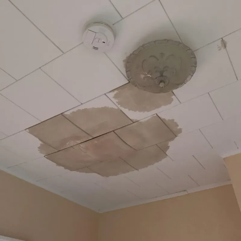 Ceiling Water Damage Repair in Barron County, WI