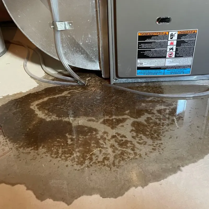 Pipe Burst and Leak Restoration in Barron County, WI